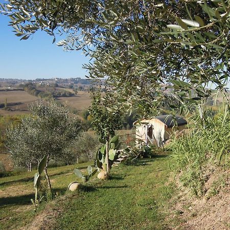La Luna Nell'Orto-Casa Vacanza Ecologica E Agricoltura Biodinamica Barchi Екстер'єр фото