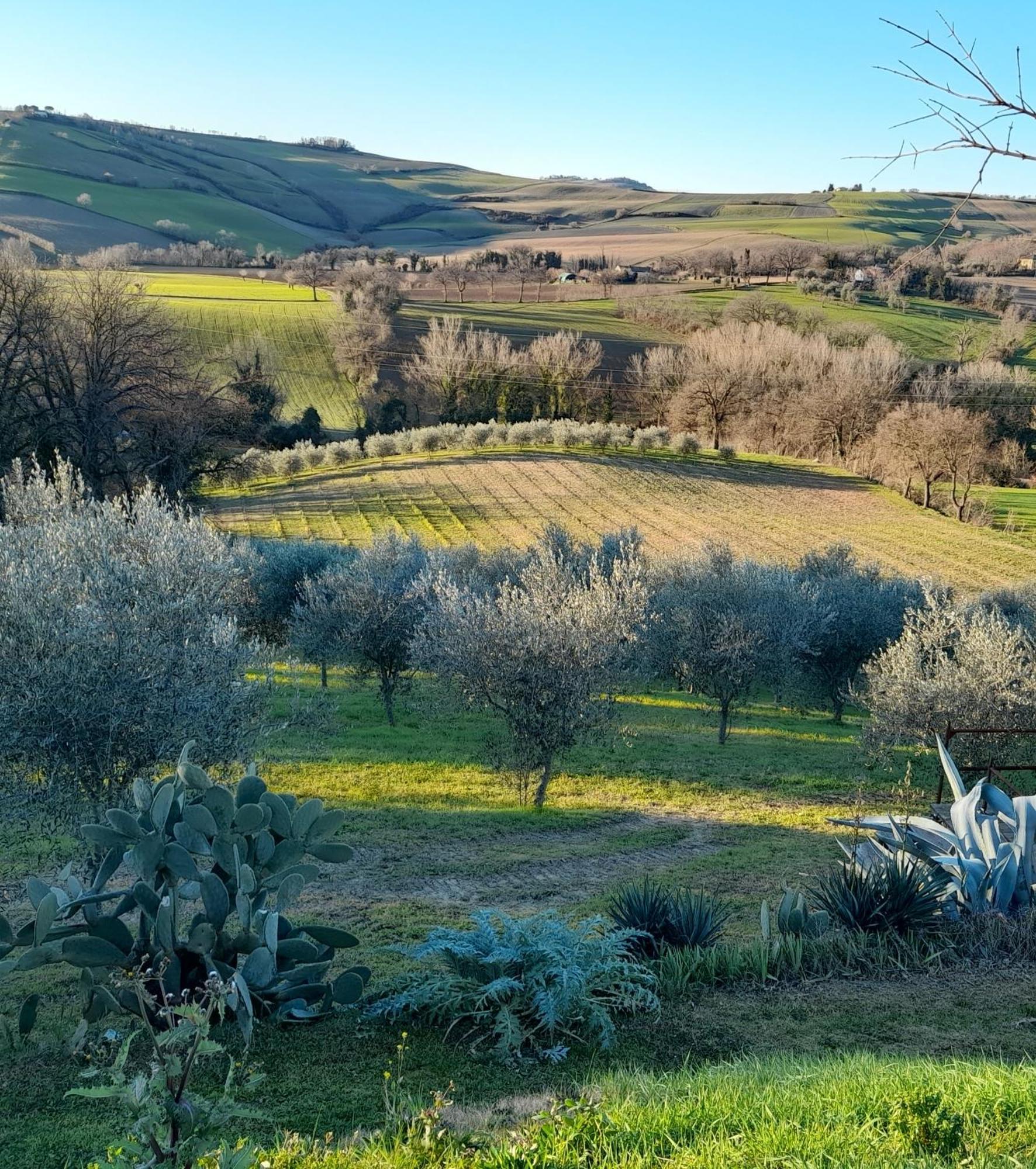 La Luna Nell'Orto-Casa Vacanza Ecologica E Agricoltura Biodinamica Barchi Екстер'єр фото
